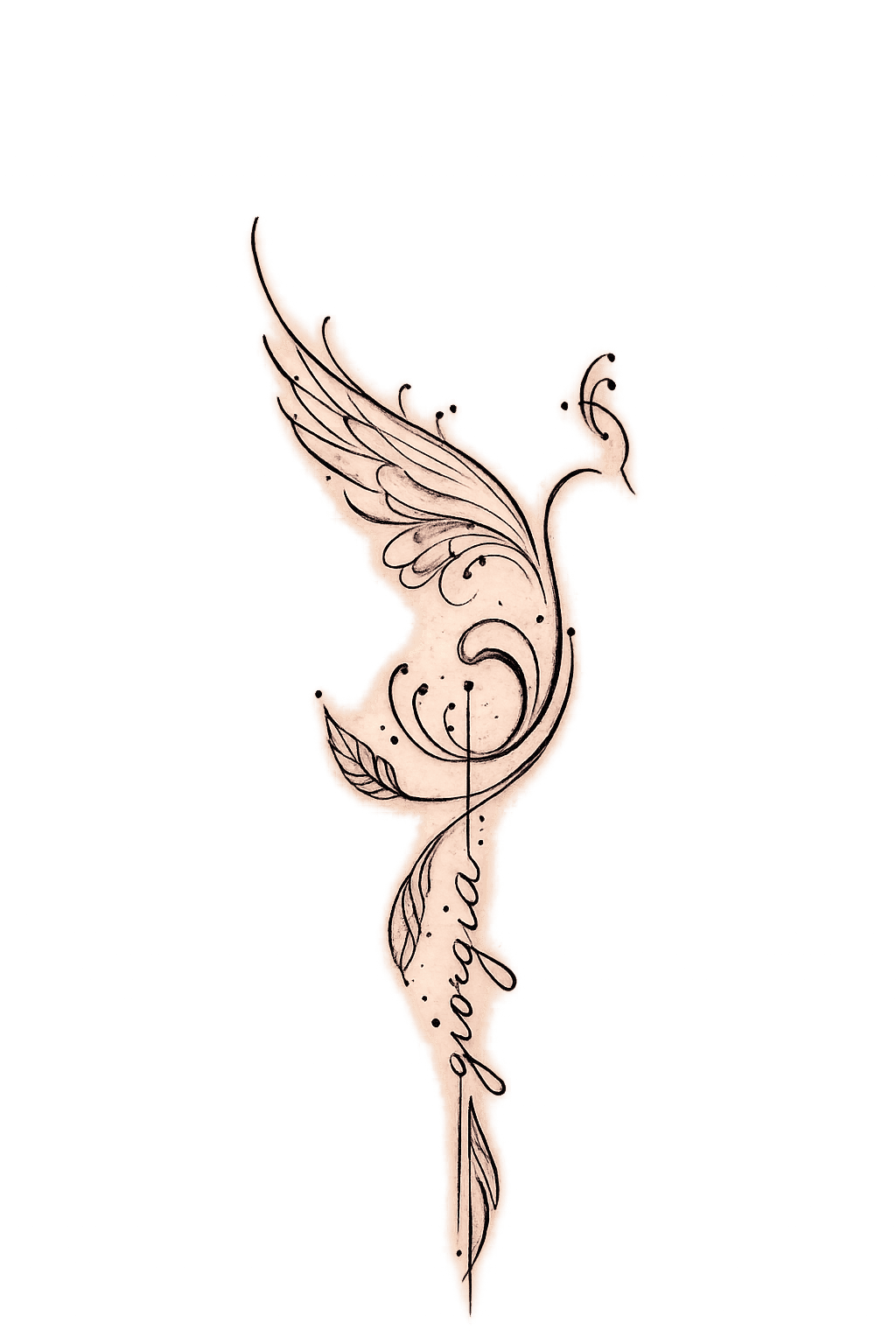 scontornata fine line.png